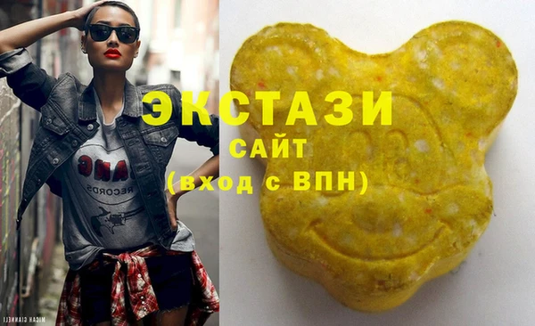 индика Тверь