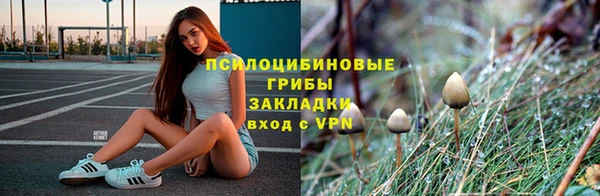 таблы Богородицк