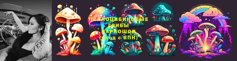 закладка  Будённовск  Псилоцибиновые грибы Magic Shrooms 